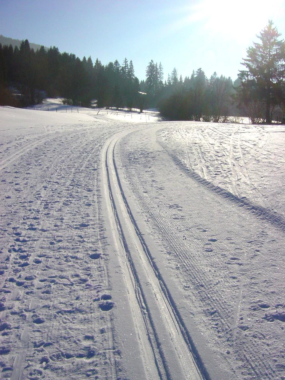 Piste de ski de fond