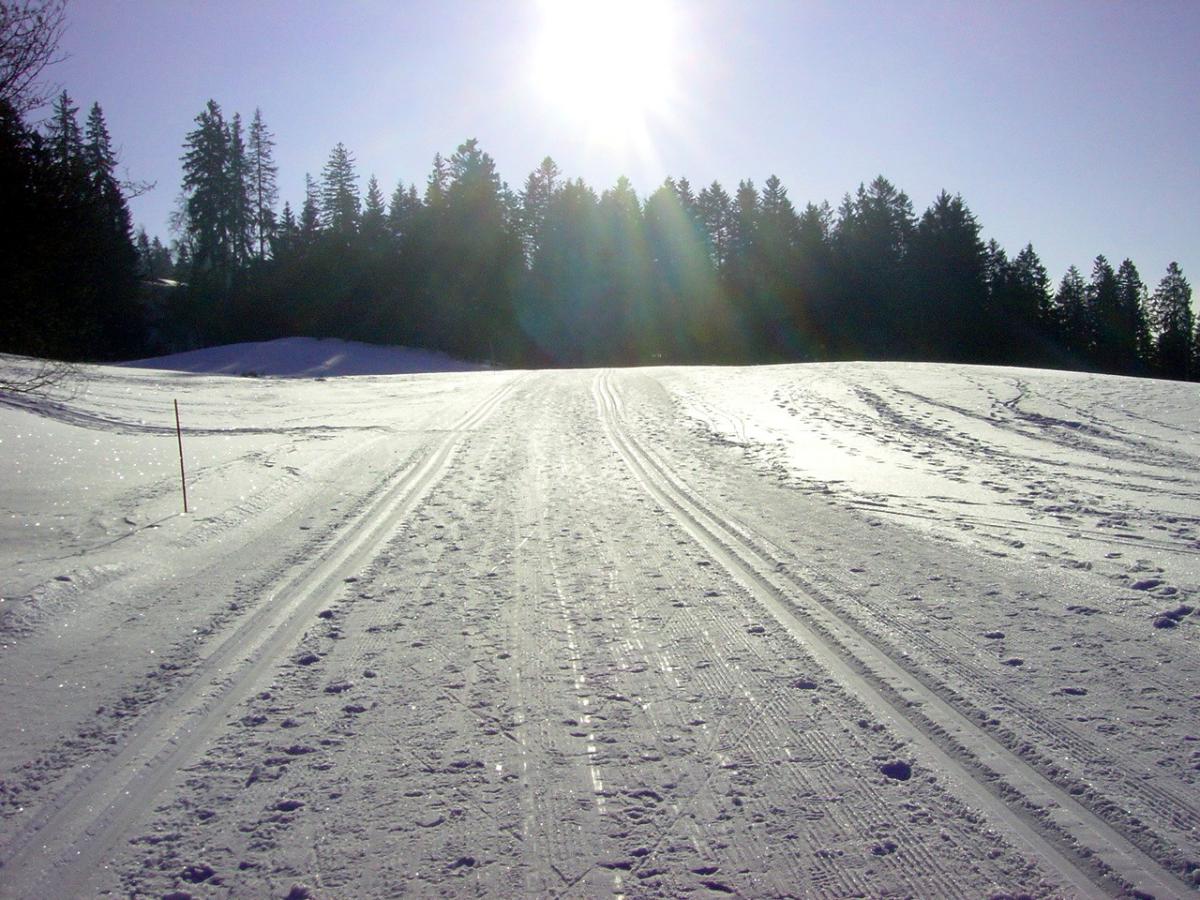 Belle journée pour le ski de fond !